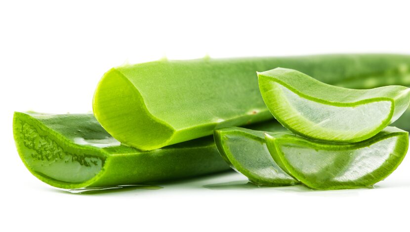 アロエベラ ジュース アトピーの方にも注目されている🌿